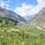 View of the valley with colourful flows along lush green landscape with a blue sky.