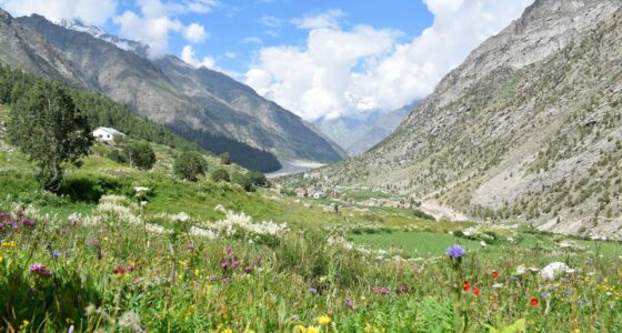 View of the valley with colourful flows along lush green landscape with a blue sky.