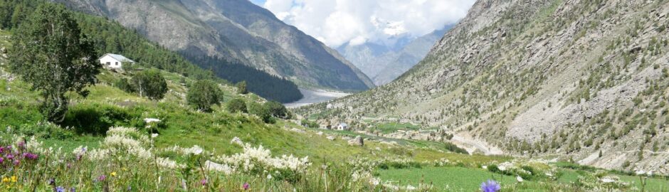 View of the valley with colourful flows along lush green landscape with a blue sky.